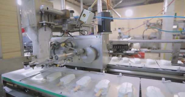 Automated Conveyor Line Automated Production Ice Cream Modern Ice Cream — Stock videók