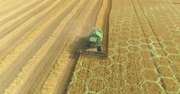 Digitalizace Zemědělství Kombinovat Sklízeč Pracující Vzdušném Zobrazení Pole Futuristický Zemědělský — Stock video