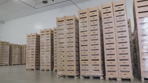 Ψυγείο Αποθήκης Τροφίμων Σύγχρονη Αποθήκη Τροφίμων Αποθήκη Προϊόντα Διατροφής — Αρχείο Βίντεο