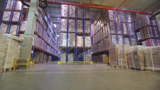 現代のフォークリフトの労働者 大規模な近代的な倉庫で働く 近代的な倉庫でのワークフロー — ストック動画