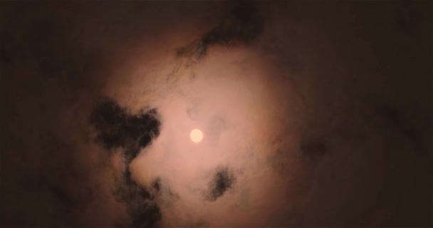 Full Moon Clouds Full Moon Movement Clouds Background Full Moon — Stock videók