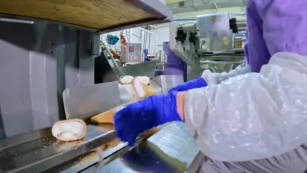 Jégkrém Gyártás Automatikus Fagylaltgyártás Automatizált Fagylalt Gyártósor — Stock videók