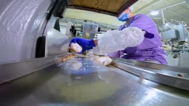 Працівник Конвеєрі Відкладає Морозиво Виробництво Морозива Заводі Робота Конвеєрі Маршрутні — стокове відео