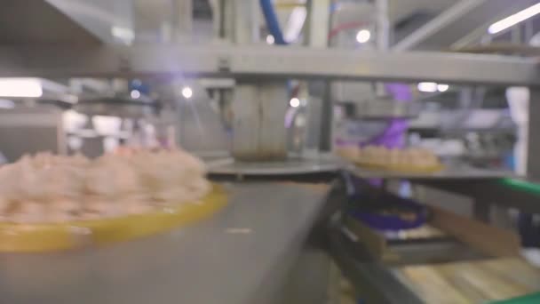 Tårta Transportörlinjen Produktion Tårtor Produktion Kakor Modern Fabrik Processen För — Stockvideo