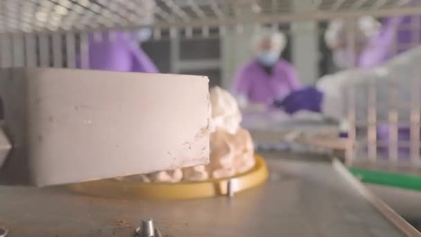 コンベアラインでケーキ ケーキの生産 近代的な工場でケーキの生産 ケーキの自動作成のプロセス — ストック動画