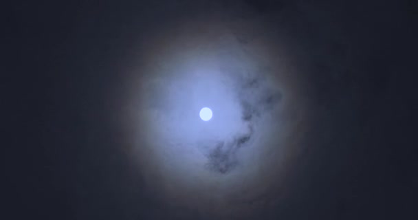 Full Moon Clouds Full Moon Movement Clouds Background Full Moon — Stok video