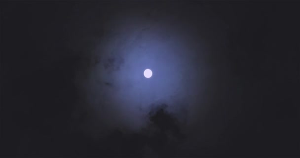 Full Moon Clouds Full Moon Movement Clouds Background Full Moon — Stock videók