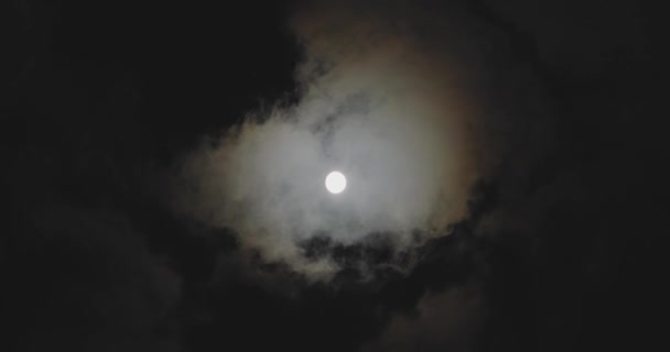 Full Moon Clouds Full Moon Movement Clouds Background Full Moon — Stok video