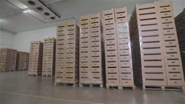 Kühlschrank Für Lebensmittel Modernes Lebensmittellager Lager Mit Lebensmitteln — Stockvideo