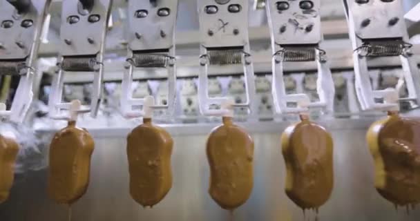 Automated Conveyor Line Production Ice Cream Automated Production Ice Cream — Wideo stockowe