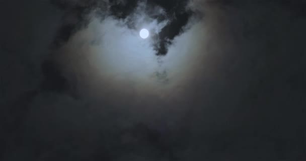 Luna Plină Spatele Norilor Luna Plină Mișcarea Norilor Fundalul Lunii — Videoclip de stoc