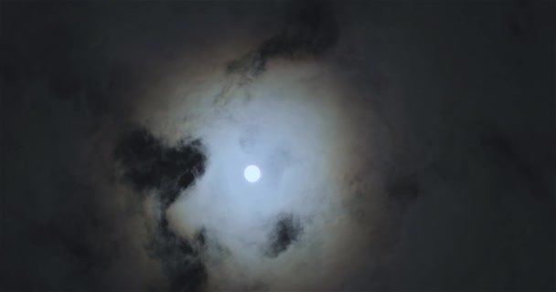 Full Moon Clouds Full Moon Movement Clouds Background Full Moon — Wideo stockowe
