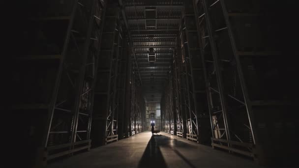 Modern Warehouse Seorang Pekerja Berjalan Melalui Sebuah Gudang Modern Visualisasi — Stok Video
