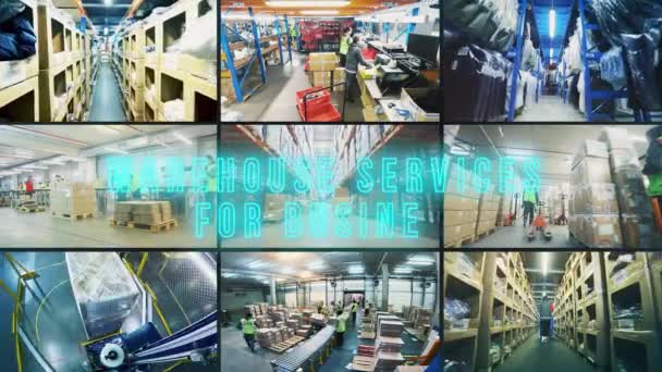 Warehouse Service Business Infographics Warehouse Service Business Inscription — Vídeo de Stock