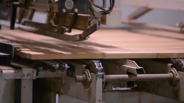 Mobilya Fabrikasında Otomatikleştirilmiş Üretim Hattı Mobilya Üretim Süreci Mobilya Fabrikasında — Stok video