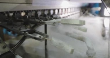 Automated conveyor line. Automated production of ice cream. Modern ice cream factory.