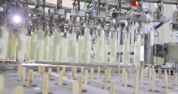 Freezing Ice Cream Factory Automatic Production Ice Cream Ice Cream — Stok Video