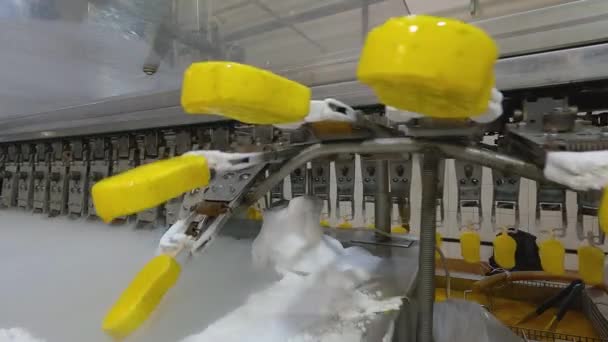 Делают Мороженое Процесс Приготовления Мороженого Автоматизированный Завод Мороженого — стоковое видео