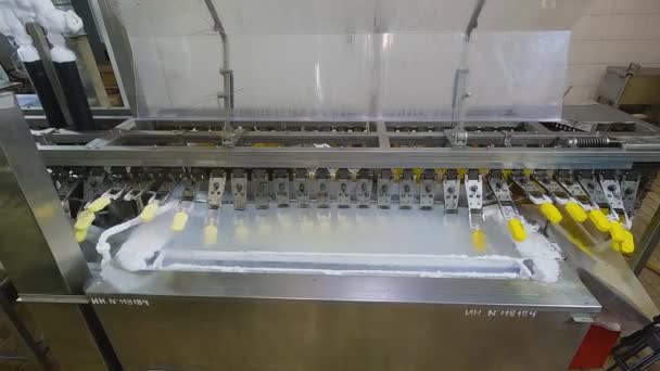 Морозиво Конвеєрі Процес Виробництва Морозива Конвеєр Заводі Морозива — стокове відео
