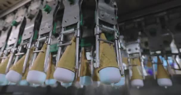Πάγωμα Παγωτού Στο Εργοστάσιο Αυτόματη Παραγωγή Παγωτού Παραγωγή Παγωτού Στο — Αρχείο Βίντεο