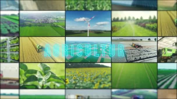 Inscripción Agrícola Infografías Agrícolas Collage Vídeo Agrícola — Vídeo de stock