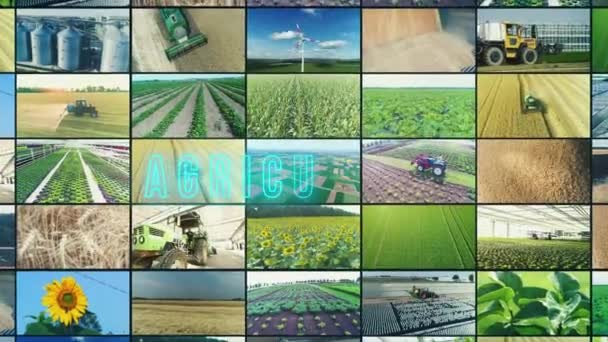Inscription Agricole Infographie Agricole Collage Vidéo Agricole — Video