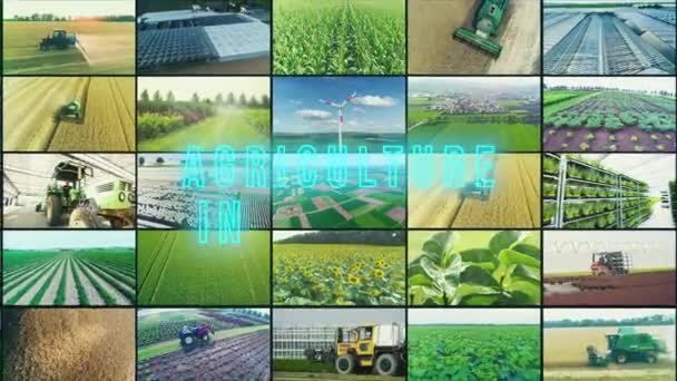 Inscripción Innovación Agrícola Infografías Innovación Agrícola Agricultura Innovación Multipantalla — Vídeo de stock