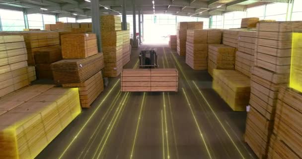 叉车在木堆上滑行 木材厂的现代技术木材场中的人工智能 — 图库视频影像