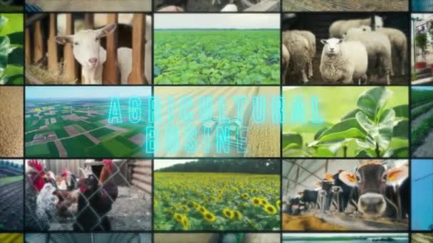 Zemědělský Nápis Infografie Zemědělství Zemědělská Koláž Videa — Stock video