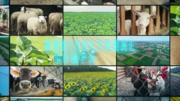 Beschriftung Landwirtschaftlicher Unternehmen Infografiken Landwirtschaftlicher Unternehmen Agrarunternehmen Multiscreen — Stockvideo
