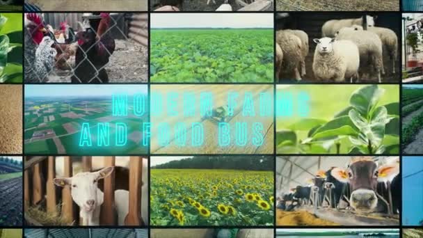 Fazendas Modernas Negócios Alimentos Fazendas Modernas Infográficos Negócios Alimentos Fazendas — Vídeo de Stock