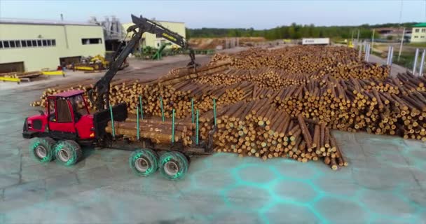 Автоматично Рукою Маніпулятора Завантажує Журнали Сучасне Обладнання Дерев Яному Заводі — стокове відео