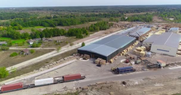 Bir Marangoz Şirketinin Büyük Bahçesi Modern Kereste Fabrikası Manzarası Kavramı — Stok video