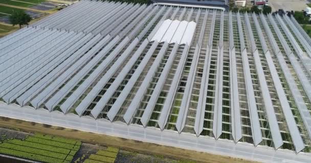 大きな温室の上を飛行します 温室で野菜を栽培する 大きな近代的な温室 温室の空中風景 — ストック動画