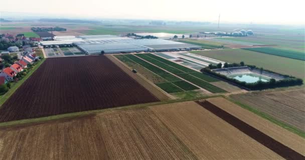 Nagy Üvegház Komplexum Repülés Modern Üvegházak Felett Mezőgazdasági Komplexum Növénytermesztés — Stock videók