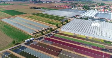 Büyük bir sera kompleksi. Modern seralar üzerinde uçuş. Tarım kompleksi. Büyüyen bitkiler, hava manzarası.