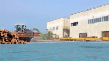 Traktör kereste fabrikasının bölgesinde kütük taşıyor. Modern kereste fabrikası. Bıçkıhanede modern teknoloji. Modern bıçkıhane konsepti.