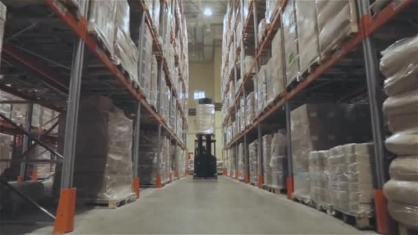 Forklift Driving Large Warehouse Moving Modern Warehouse Large Modern Warehouse — Wideo stockowe