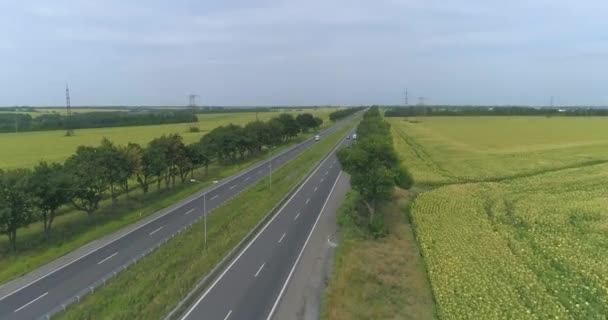 Droga Widokiem Góry Samochodów Autostrada Poza Miastem Pola Skraju Drogi — Wideo stockowe