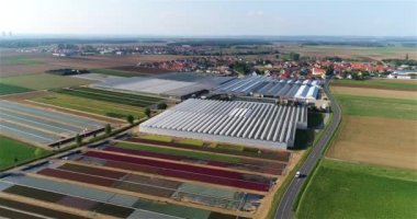 Büyük bir sera kompleksi. Modern seralar üzerinde uçuş. Tarım kompleksi. Büyüyen bitkiler, hava manzarası.