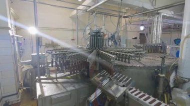 Automated conveyor line. Automated production of ice cream. Modern ice cream factory.