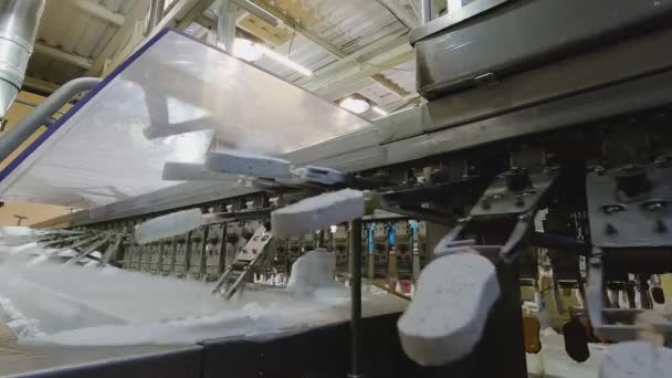 Apparatus Sorting Ice Cream Ice Cream Dosing Machine Conveyor Line — Vídeo de Stock