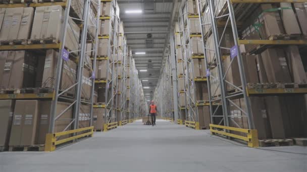 現代の倉庫現代の倉庫を歩く労働者 近代的な倉庫の可視化 — ストック動画