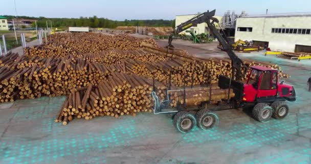 Auto Com Braço Manipulador Carrega Logs Equipamento Moderno Fábrica Madeira — Vídeo de Stock