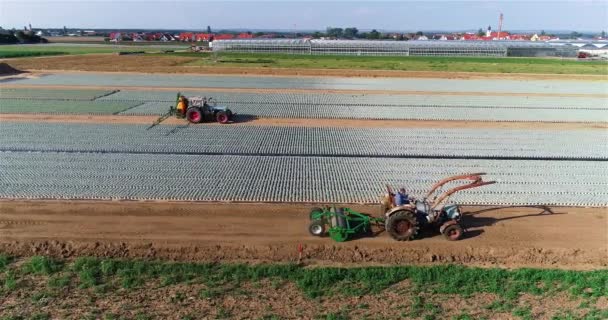 Pulvérisation Plantes Sur Ferme Tracteur Traite Les Usines Ferme Matériel — Video