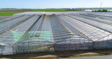 Büyük bir seranın üzerinden uçmak. Seralarda sebze yetiştiriyor. Büyük, modern bir sera. seralar hava görüntüsü.