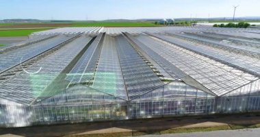 Büyük bir seranın üzerinden uçmak. Seralarda sebze yetiştiriyor. Büyük, modern bir sera. seralar hava görüntüsü.