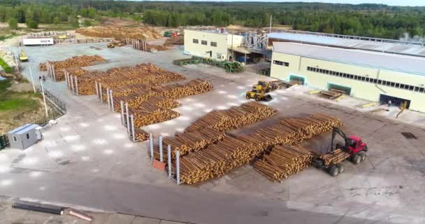 Großer Hof Einer Holzverarbeitenden Firma Das Konzept Eines Modernen Sägewerks — Stockvideo