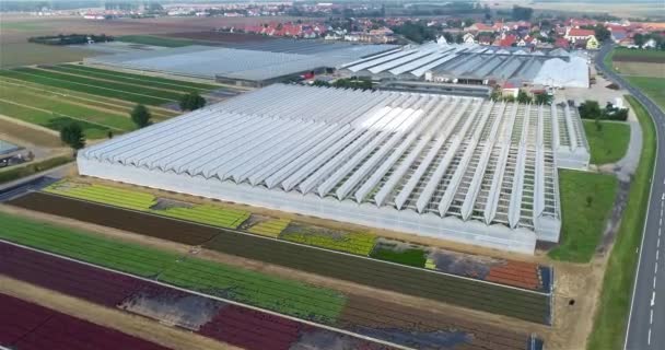 飞越一个大温室 在温室里种植蔬菜 巨大的现代温室 绿屋鸟瞰 — 图库视频影像