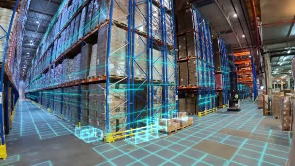 倉庫の近代的なフォークリフト 現代技術の可視化 グラフィックと大規模な近代的な倉庫でフォークリフト — ストック動画